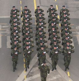 Regimentul 307 Infanterie Marina "Heracleea" - fotografia 110