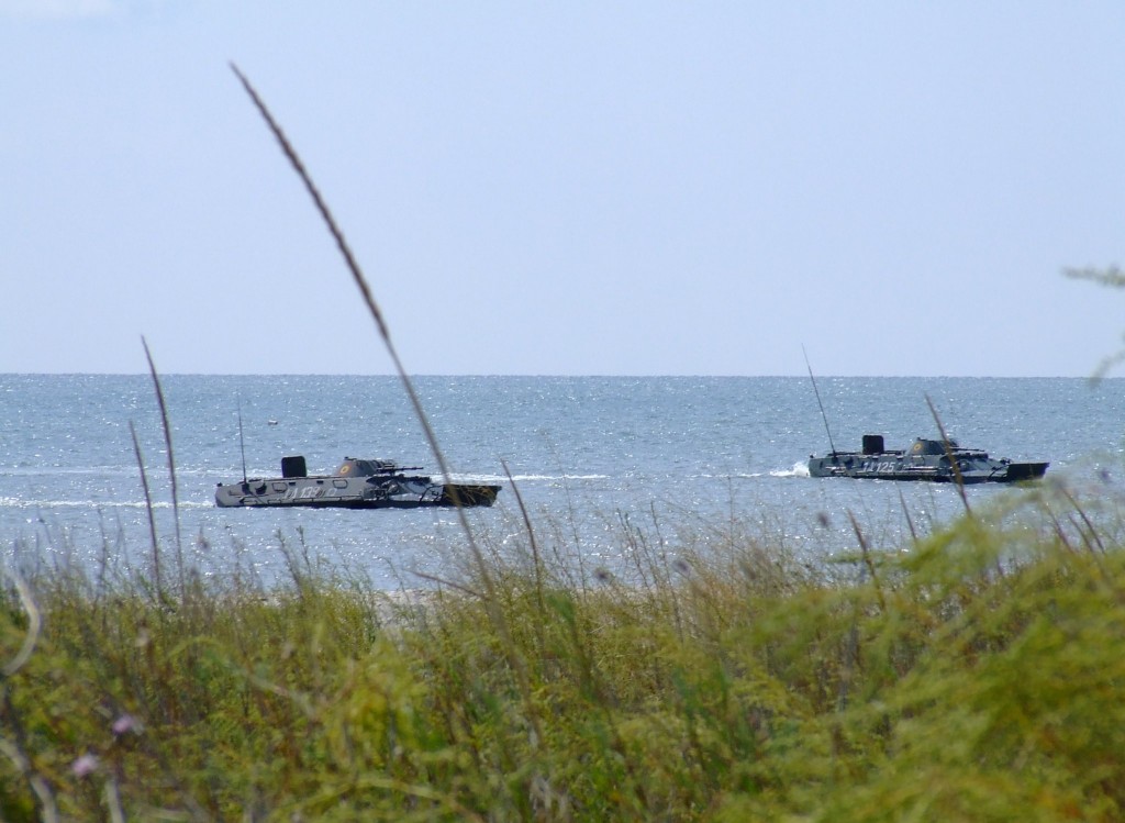 Regimentul 307 Infanterie Marina "Heracleea" - fotografia 154